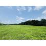 Beautiful 65 Acre Homestead near Lake Cumberland!