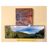 Nature Scene Wall Hangings