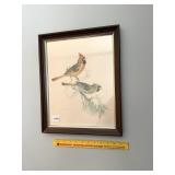 Vintage Cardinal Print & Framed Outdoors Print