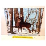 Photographic Deer Print; approx. 16 in x 20 in