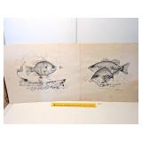 (2) Vintage Fish Prints; approx. 20 in x 16 in,