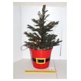 Small Table Top Christmas Tree          Located