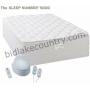 Sleep Number Select Comfort Pneumatic King Bed