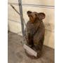 Bear Chainsaw Carving