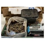 Assorted Screws and Nails