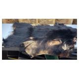 Black Bear Hide