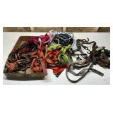 Tie Downs and Bungees