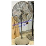 Patton CF6C5-A2X1 Pedestal Fan