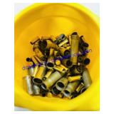 Bullet Casings
