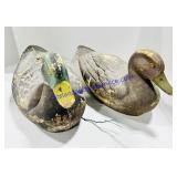 2 Mallard Decoys