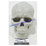 Solid Cast Resin Skull