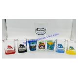 7 Shot Glasses & Pint Glass