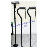 3 Canes