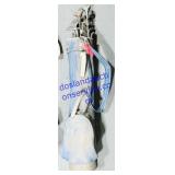 Golf Clubs & Bag