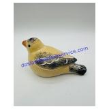 Isabell Bloom Goldfinch ( broken nose )
