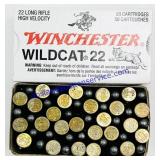 50 Winchester Wildcat .22 HV Cartridges