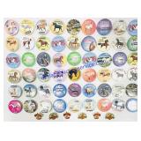 (60) Breyer Pins