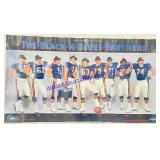 Chicago Bears Black-N-Blues Brothers 36 x 20'