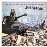 1981 Joe Walsh There Goes The Neighborhood Vinyl