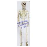 Plastic Skeleton Decoration