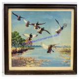Framed Marshland Mallards Print. 20xï¿½19ï¿½