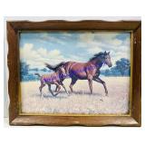 Mare And Foal In Field Framed Print. 19ï¿½x15ï¿½
