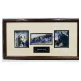 Black And White Horse Prints. 24ï¿½x13ï¿½