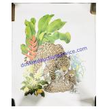Anthony Young Asian Jungle Animals (4) Print Set