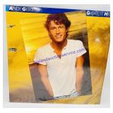 Andy Gibbs Greatest Hits Album