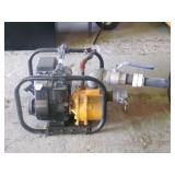 Briggs and Stratton Water Pump