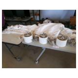 Curtains and Light Fixtures