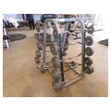 Curl Bar with Weights