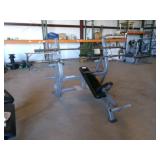 Promaixima Incline Bench with 2 Weight Bars