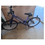 Huffy Rock creek Bike Flat Tires