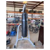 Century Speed Bag Stand with Everlast Punching