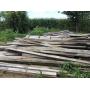 Lg. Asst. Native Lumber 14ft,15ft , 6in &