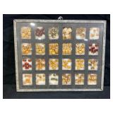 ANTIQUE 24 SPACE SEED DISPLAY