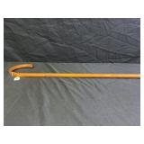 PIONEER SEEDS CANE