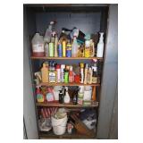 CONTENTS OF METAL STORAGE CABINET IN GARAGE -