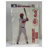 668.  Unopened Ken Griffey Jr. Ultra Mini Fathead