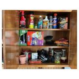 CONTENTS OF CUPBOARD- BEE AND WASP STRAY, CAR