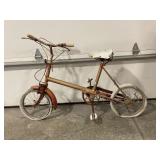 THE RALEIGH BIKE
