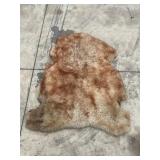 SHEEP SKIN HIDE - 39" X 33"
