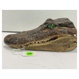TAXIDERMY CROCODILE HEAD - AROUND 8' LONG