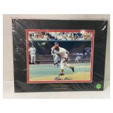 Cincinnati Reds Matted Pedro Borbon AUTOGRAPHED