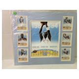 Michael Jordan North Carolina Matted Picture W/
