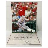 Cincinnati Reds AUTO 8x10 Zack Cozart Reds Short-