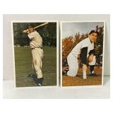 1982 Yogi Berra & Joe Dimaggio tcma Large Base-