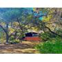 107 Windmill Rd., San Antonio TX 78231