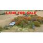 1267a HCR 1414, Covington TX 76636